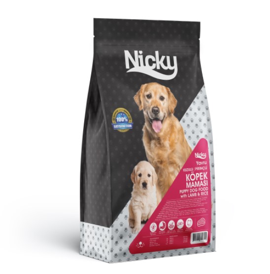dog-1