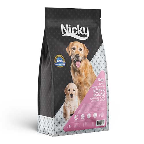 dog-6