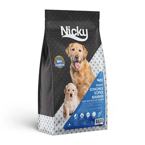 dog-4